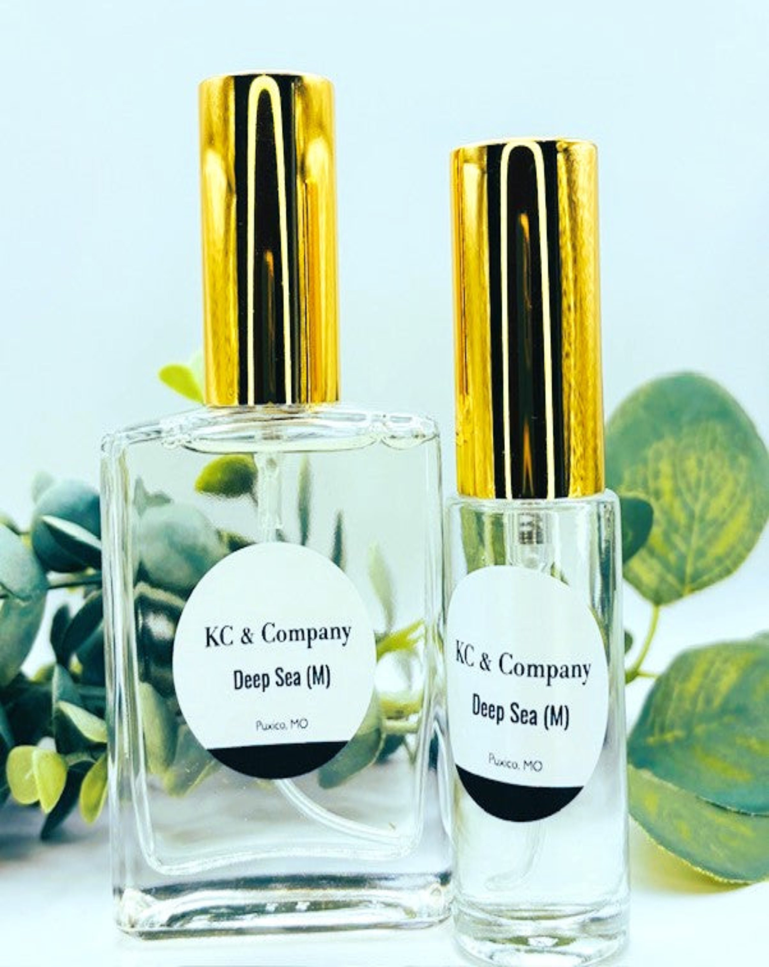 Deep Sea (Inspired by Bleau de Chanel) (MEN)