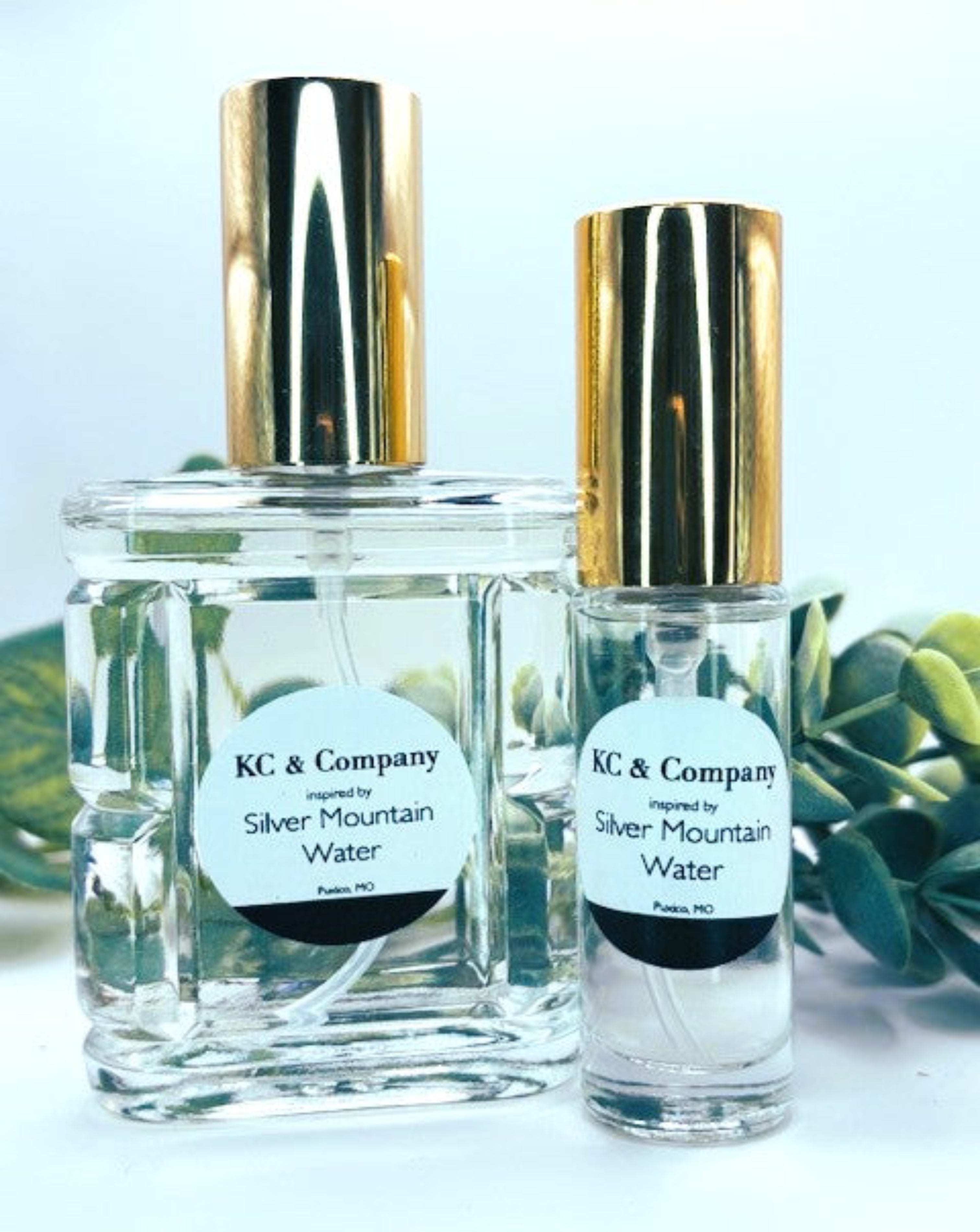 Silver Mountain Water - Designer Inspired Creed (Men’s)